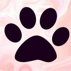 Meet your Posher, Allyssa